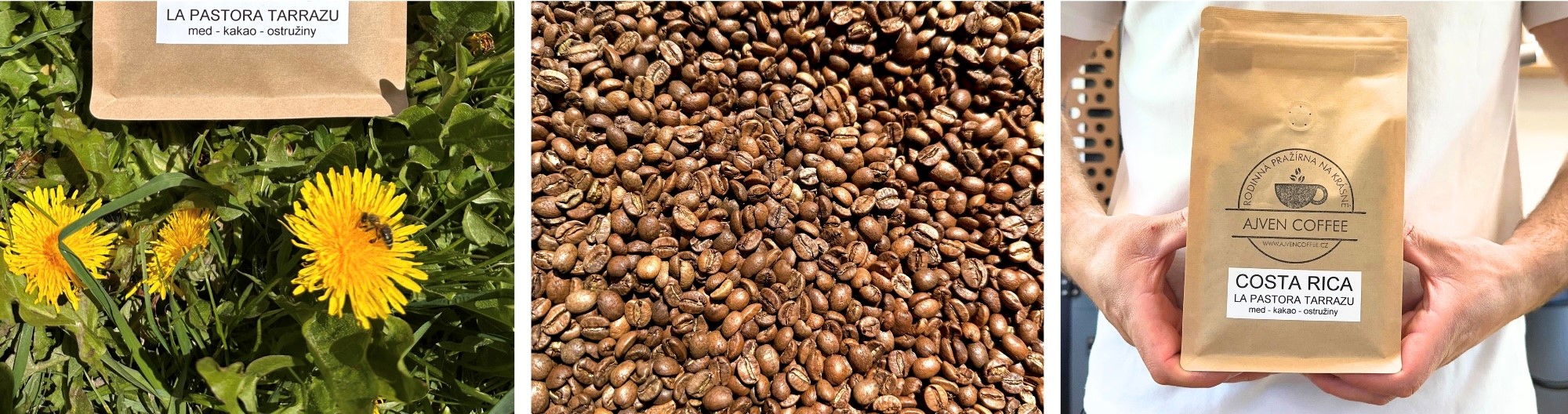 costa 1
